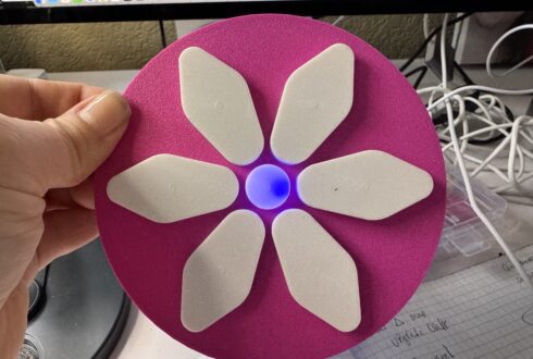 Illuminated flower motif light fixture