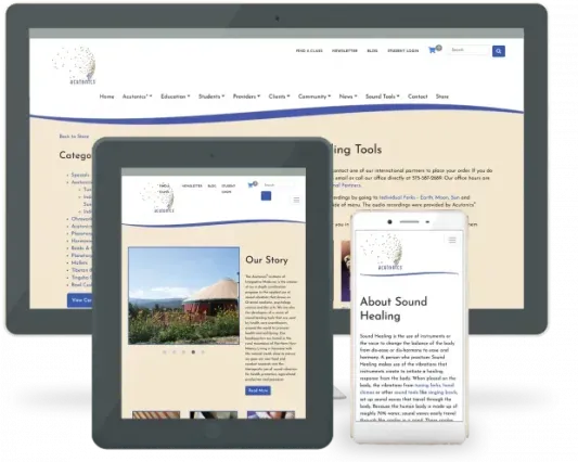 Website on multiple devices