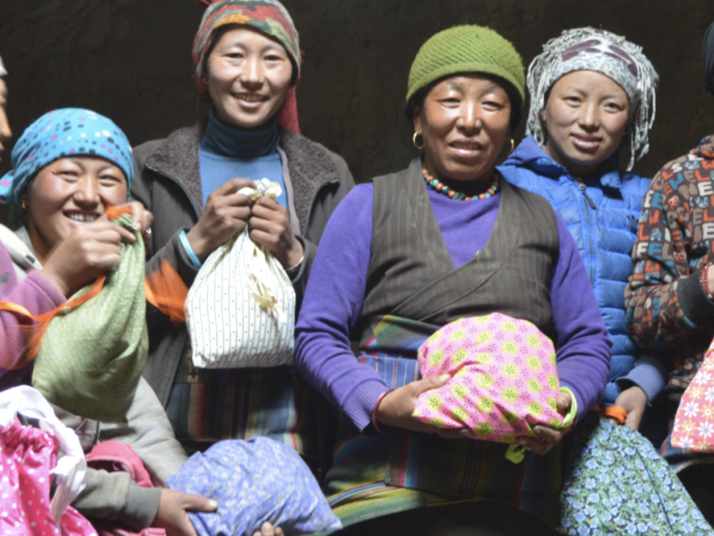 Spotlight: Not For Profit Websites Image